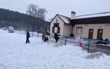 IMG_20260210_105017