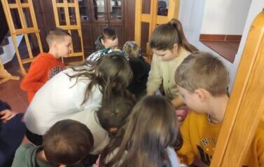 IMG_20260209_111337