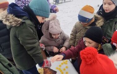 IMG_20260209_104953