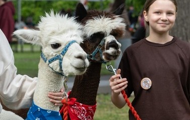 Dzień dziecka w stylu country  15