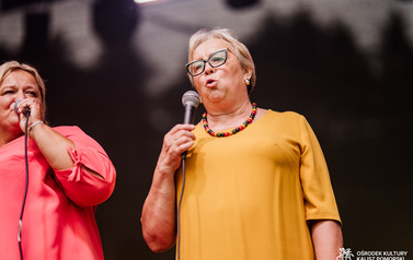 Lokalni artyści na Jarmarku nad jeziorem og&oacute;rkowym 7