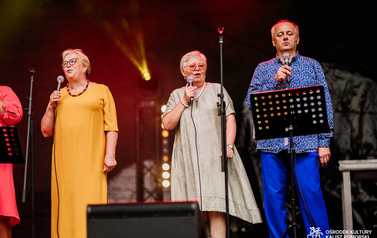 Lokalni artyści na Jarmarku nad jeziorem og&oacute;rkowym 19