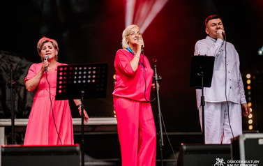 Lokalni artyści na Jarmarku nad jeziorem og&oacute;rkowym 20
