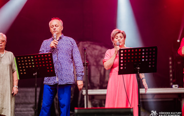 Lokalni artyści na Jarmarku nad jeziorem og&oacute;rkowym 29