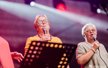 Lokalni artyści na Jarmarku nad jeziorem og&oacute;rkowym 36