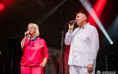Lokalni artyści na Jarmarku nad jeziorem og&oacute;rkowym 45