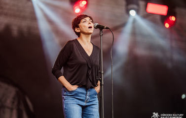 Lokalni artyści na Jarmarku nad jeziorem og&oacute;rkowym 53