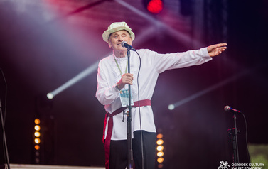 Lokalni artyści na Jarmarku nad jeziorem og&oacute;rkowym 57