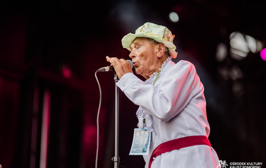 Lokalni artyści na Jarmarku nad jeziorem og&oacute;rkowym 63