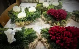 572353558_1290187506242135_7160595384975850265_n