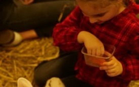 Galeria aktualności Sensoplastyka i lagoterapia 26