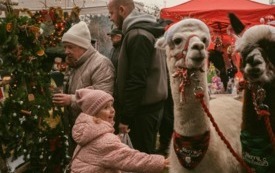 Galeria aktualności Jarmark Bożonarodzeniowy 5