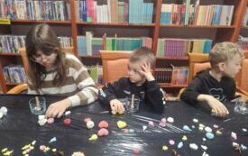 IMG_20260211_103310