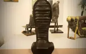 574482081_1290041812923371_1508087728513489476_n