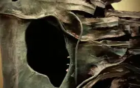 574328509_1290042029590016_8517423006585240606_n