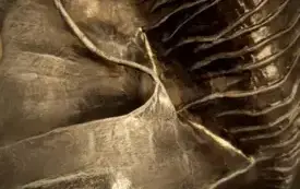 573852900_1290041499590069_965712447381578470_n