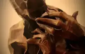 573557214_1290041612923391_9180526830742413449_n