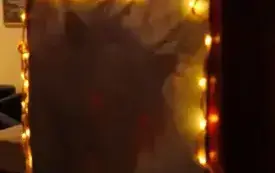 574566031_1290052536255632_4191158968836899712_n